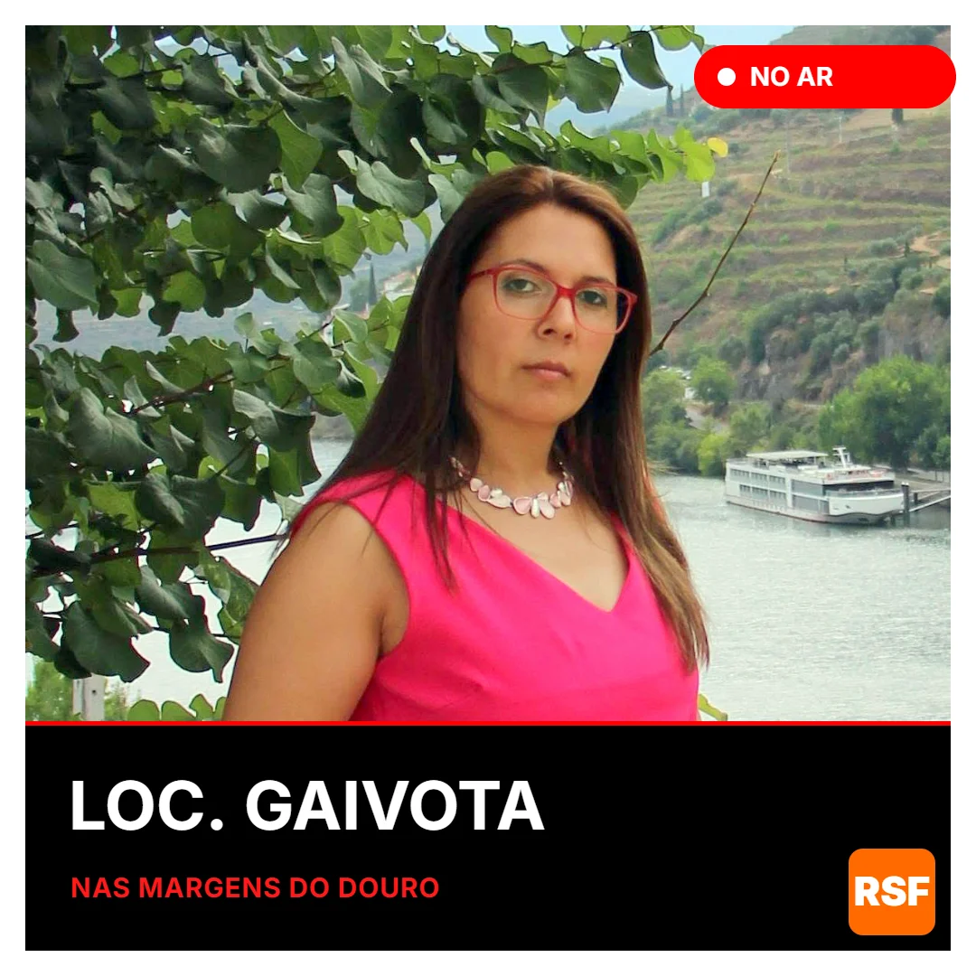RSF-LOC-GAIVOTA-1080.webp